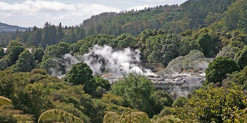 An image of a geothermal area in Whakarewarewa Forest, one of the things to see in Rotorua