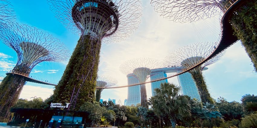 View of the Supertree Observatory offering an immersive experience