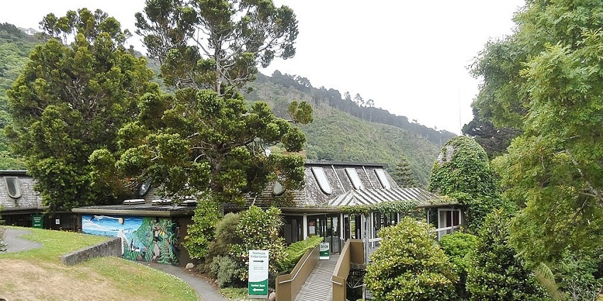 An image of the Botanic Garden, one of the best places to visit in Wellington, New Zealand.