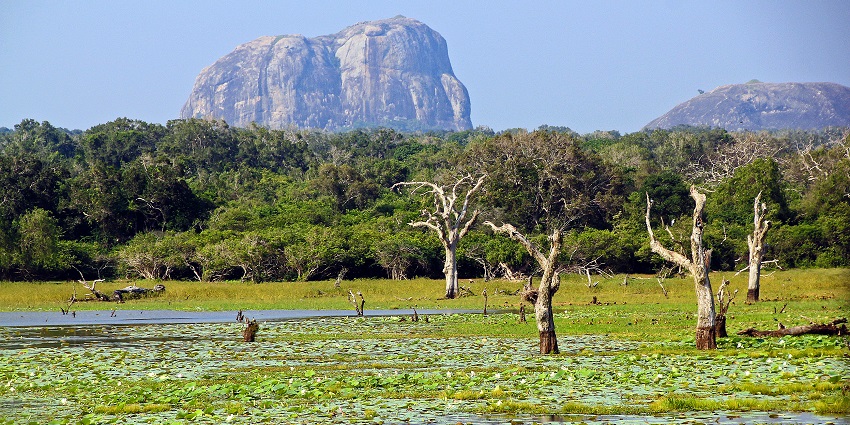 Explore the famous Yala National Park, an adventurous thing to do in Hambantota, Sri Lanka