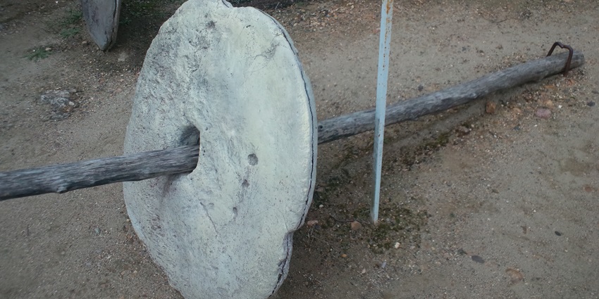 A display of Yap’s ancient stone money, surrounded by lush greenery.