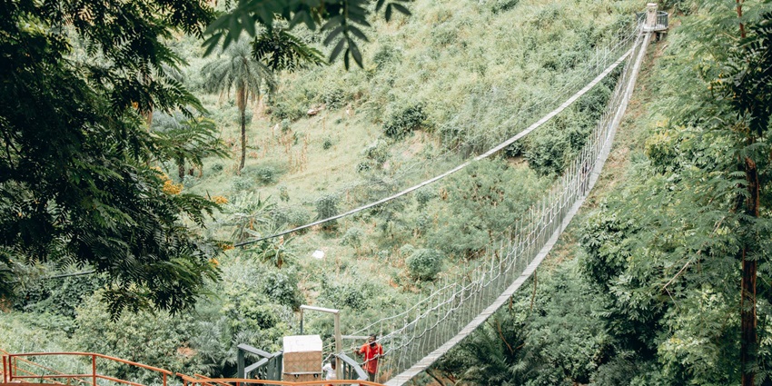 A picture of a canopy walk amidst the lush green forests of Samoa Islands