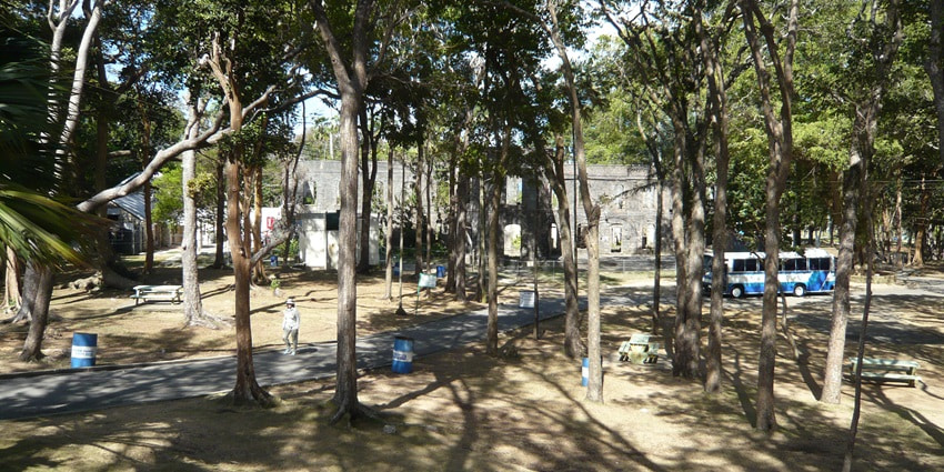 An image of the tropical greenery and ancient ruins of Farley Hill National Park, Barbados.
