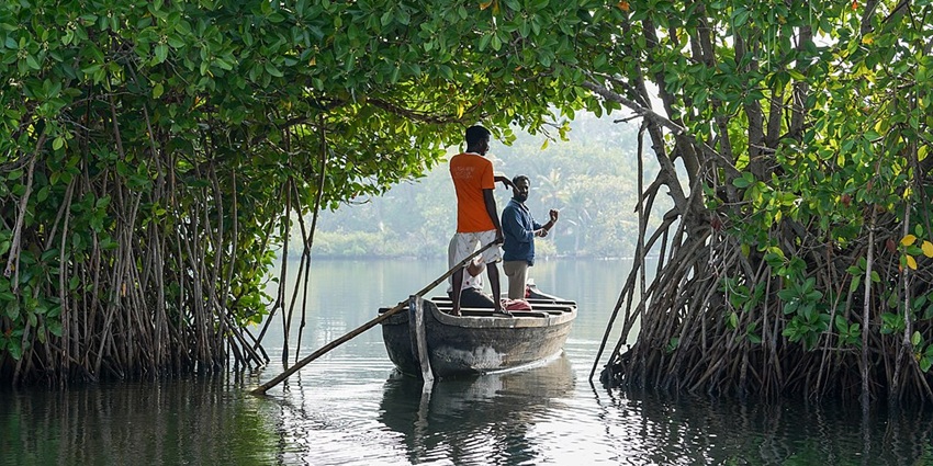 A picture of a person fishing by the calm waters of one of the Lakes in Kerala.