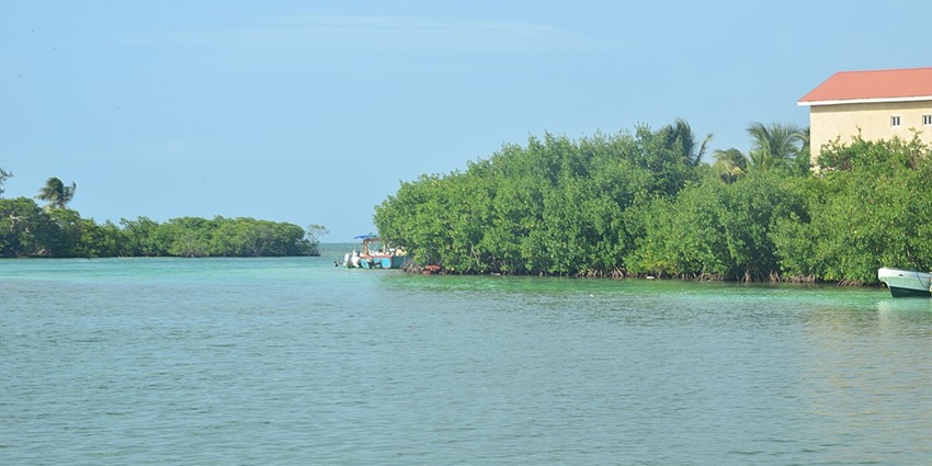 A view of a lake in Belize showing blue waters, dense bushes, buildings and boats.