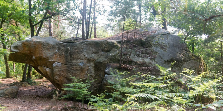 Fontainebleau’s scenic boulders offer ideal spots for rock climbing for kids and families
