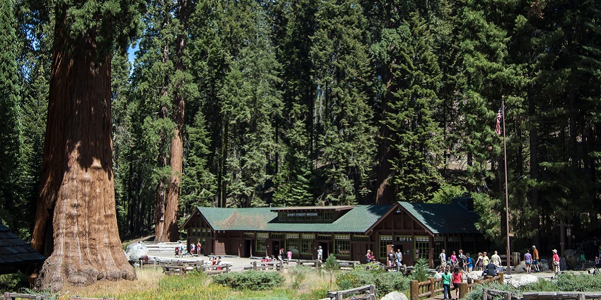 A scenic view of the Forest History Center, showcasing exhibits about forest conservation and logging history.