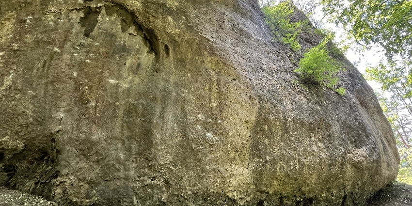 Frankenjura is one of the popular forested climbing destinations in Germany for kids.