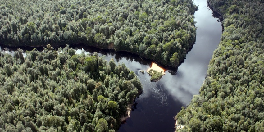 Franklin River is one of the favourite places for river kayaking in the world for rafters.