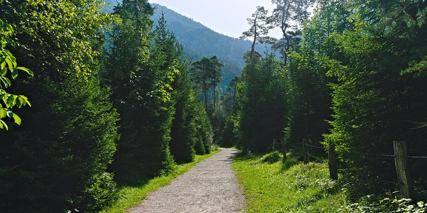 A glimpse of the Fürstensteig Trail, one of the top places to visit in Liechtenstein.