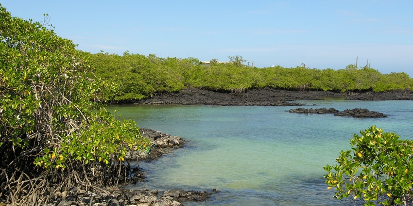 An archipelago with extraordinary wildlife, including giant tortoises and marine iguanas