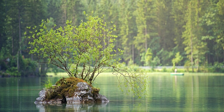 An image of Ganga Jheel surrounded by trees, offering a peaceful atmosphere.
