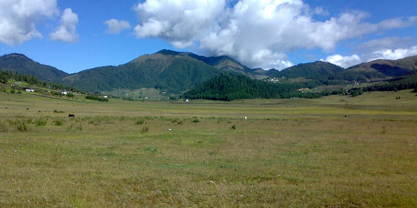 An image of the farmlands in the Phobjikha Valley, in the trekking trail of the Gangtey Nature Trail