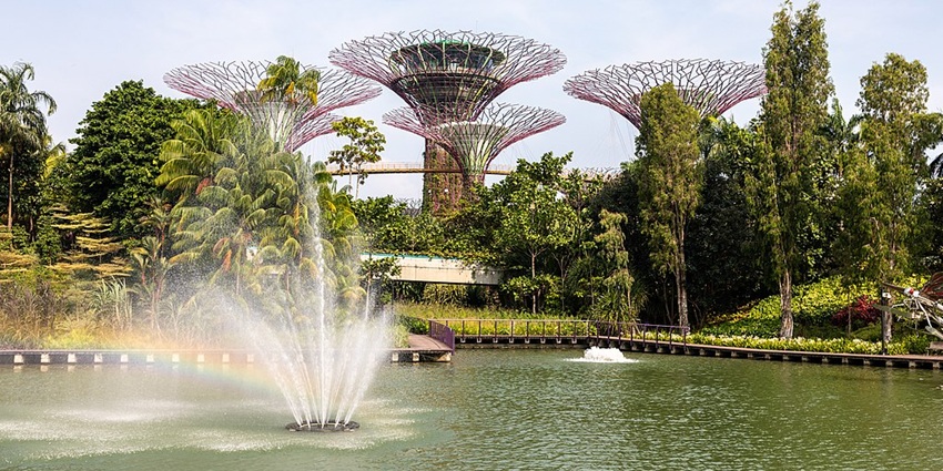 Stroll through the lush landscapes and serenity of Gardens by the Bay in Singapore.