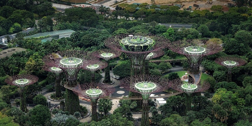 Explore the picture Gardens by the Bay near the iconic Merlion Park in Singapore.