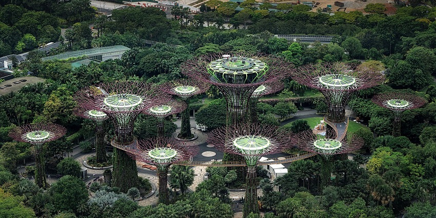 Supertree Grove at Gardens by the Bay in Singapore, featuring towering tree-like structure