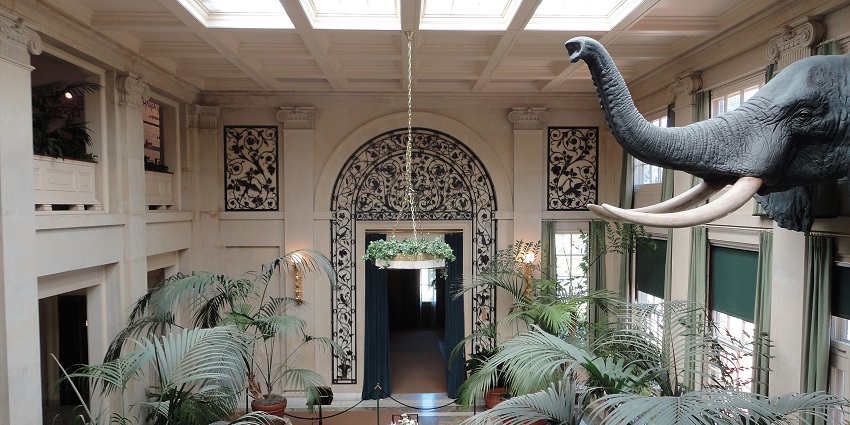 Elegant interior of the George Eastman House, showcasing its historic architecture & design