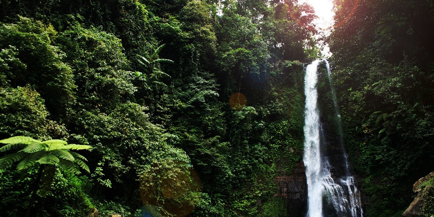 Admire the stunning cascade surrounded by lush tropical greenery at Gitgit Waterfall
