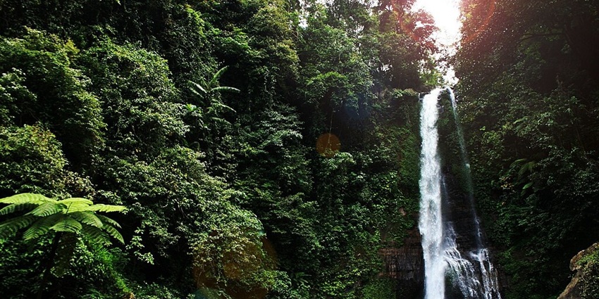 A breathtaking view of Gitgit Waterfall in Bali, surrounded by trees and rocky cliffs