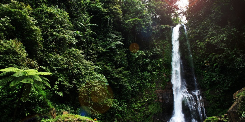 Gitgit Waterfall in Bali cascades down lush cliffs, creating a serene and picturesque retreat.