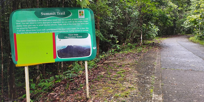trail of Kubah National Park, birdwatching here one of the best things to do in Kuching