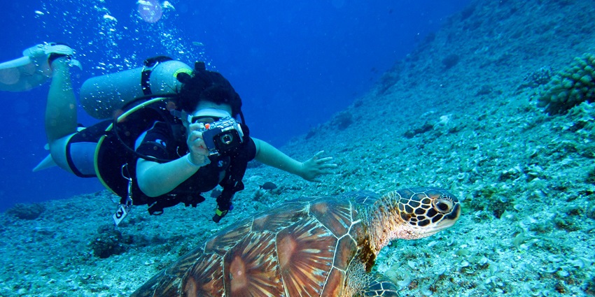 Photographing a green sea turtle swimming over a coral reef on the ocean floor in clear