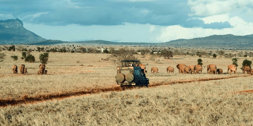 Embark on an unforgettable Serengeti safari, one of the most fun things to do in March