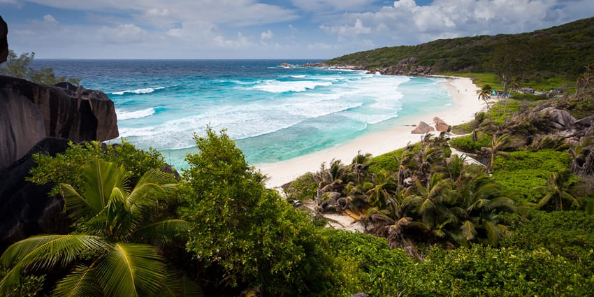 A picture of a majestic beach with turquoise waters and white sand, along with verdant greenery