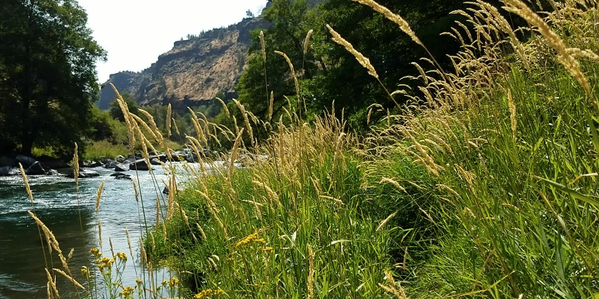 Grass River area with green landscape and the river surrounded by green shorelines.