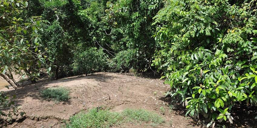 Embark on the Great Canara Trail, India’s longest forest trekking route through the Ghats.