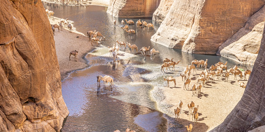 Guelta d’Archei is one of the best places to visit in Chad for every traveller.