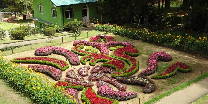 An image of Hakgala Botanical Garden, one of the tourist attractions in Nuwara Eliya.