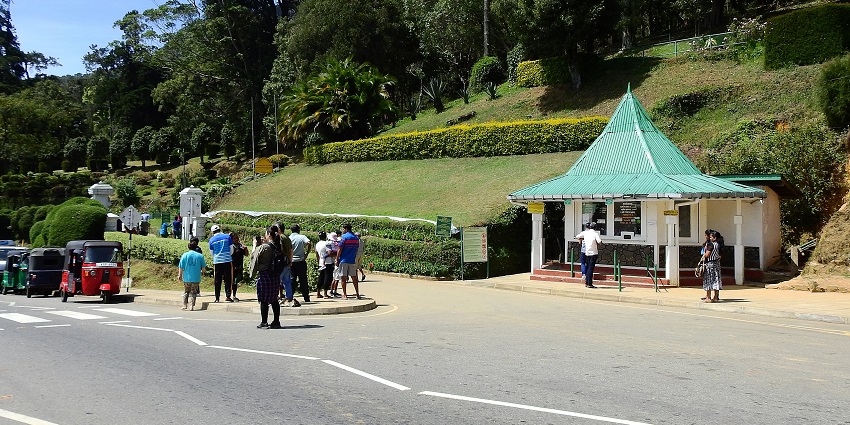 A scenic view of the verdant Hakgala Botanical Garden, a hotspot near Lake Gregory.