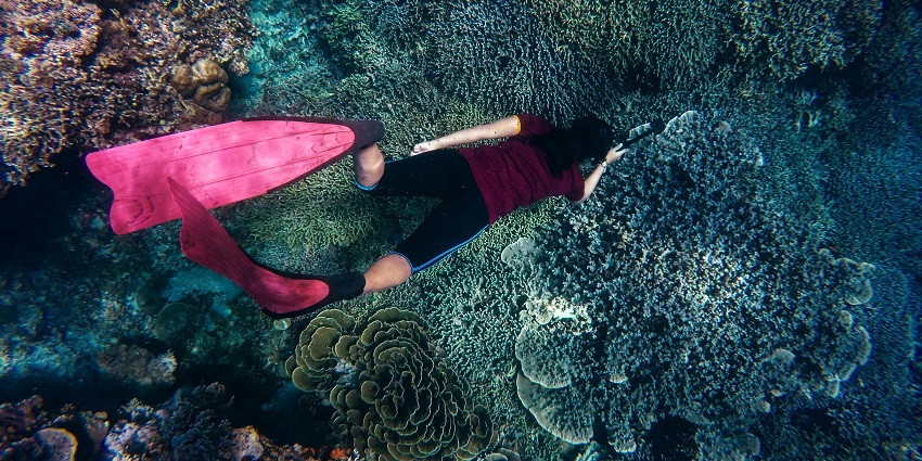 An image of the Halik Reef, with water, vegetation, and coral reefs during the daytime.