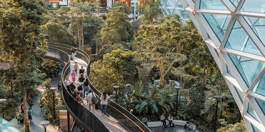 The orchard, a top attraction at one of the best airports in the world, Hamad Airport.