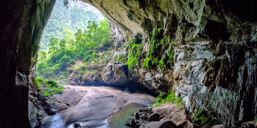 An image of Hang Én Cave in Vietnam, showcasing its massive entrance, sandy floor, and lush greenery.