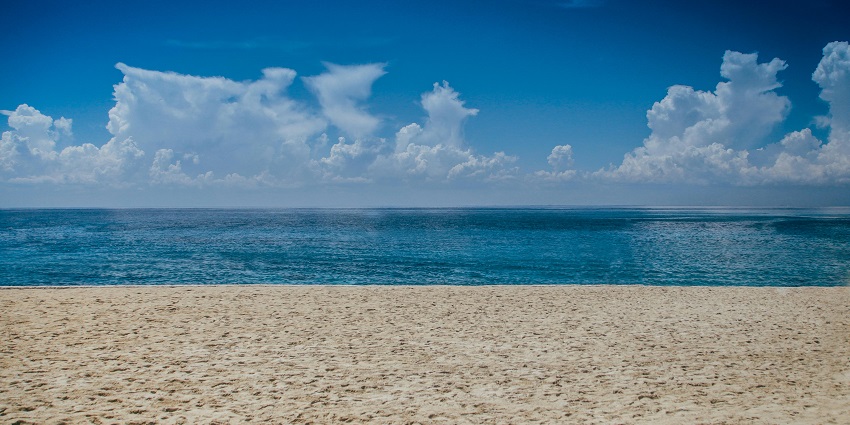 A leaning palm tree at the shores of Hansa Beach near the Naval Aviation Museum