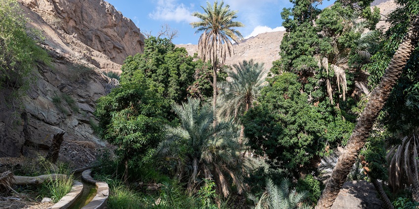 Scenic historic falaj canal in Wadi Bani Khalid, Oman, flowing through natural rocky landscape.