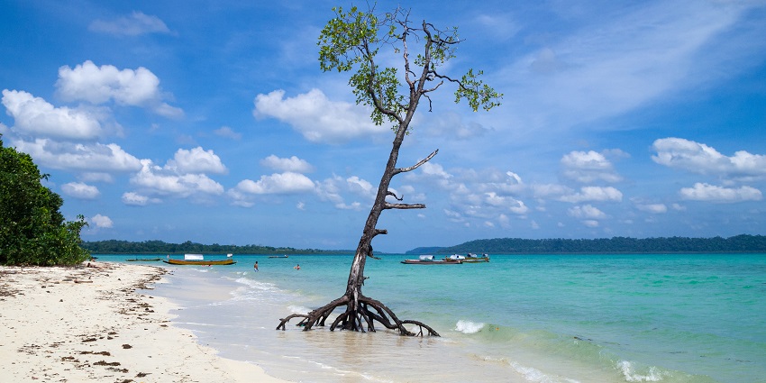 Snorkel in Havelock’s turquoise waters, home to stunning coral reefs and marine life.