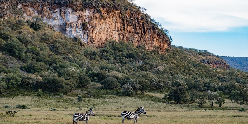 A view of various animals spotted at the Hell's Gate National Park in Great Rift Valley