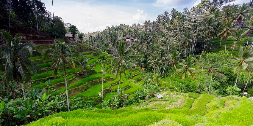Explore a serene garden showcasing Bali’s rich heritage near Angeri Hot Spring.