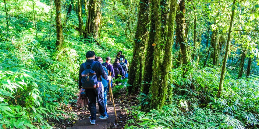 Mu Ko Chang National Park features hiking trails for all levels, leading to waterfalls and mangroves