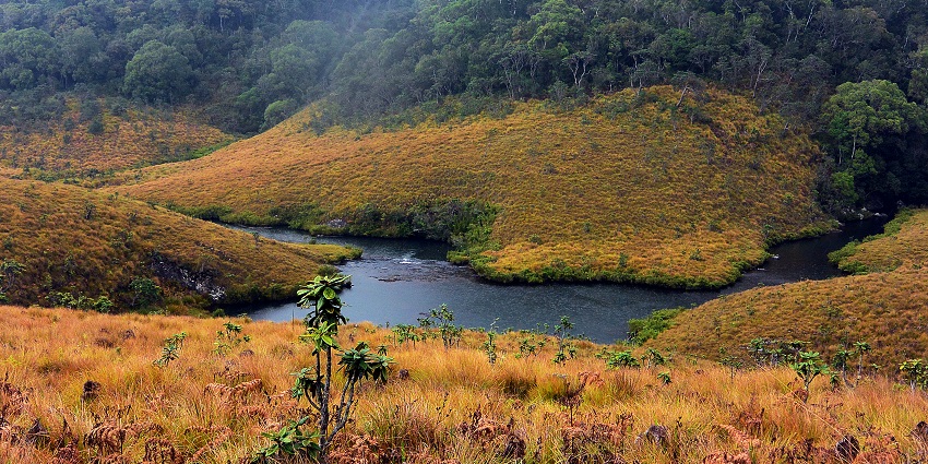 Hike at Horton Plains National Park, is a must for things to do in Nuwara Eliya.