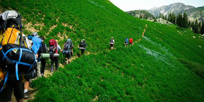 A pristine rainforest rich in biodiversity, home to rare wildlife and lush greenery.