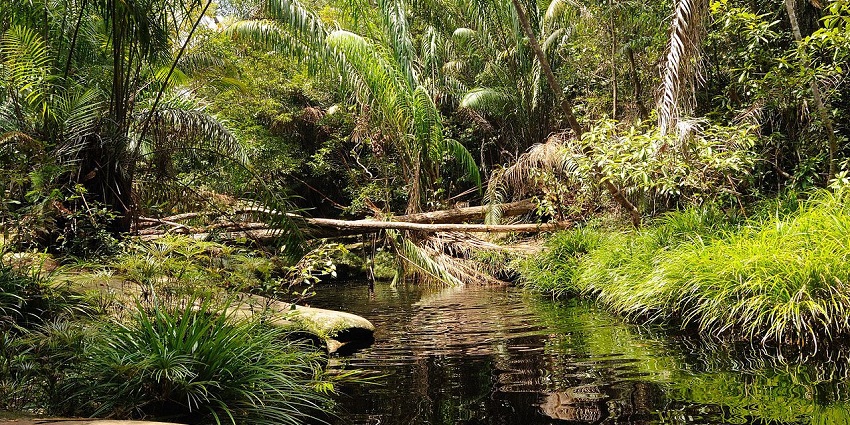 Natural pool at the Bako National Park: Fun things to do in Kuching
