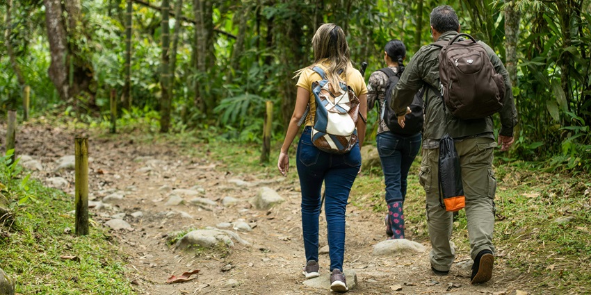 People with backpacks hiking along a forest trail surrounded by dense green vegetation