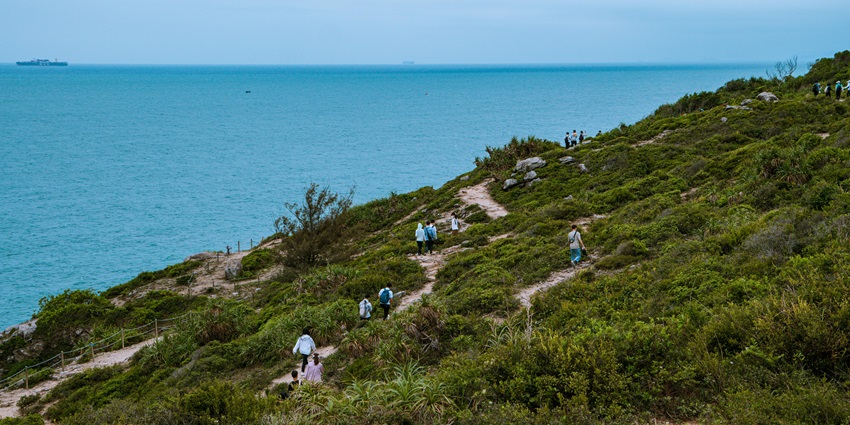 View of a group of hikers exploring a scenic rainforest trail in the Byron Bay hinterlands.