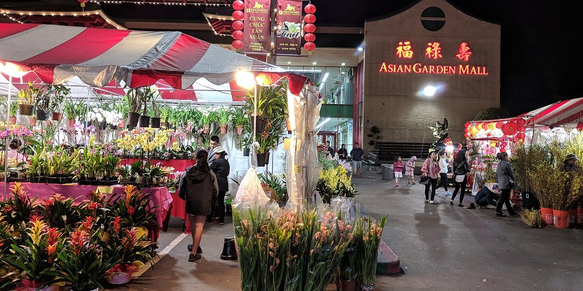 An image showing a woman browsing flowers at a market, similar to Ho Thi Ky Flower Market.
