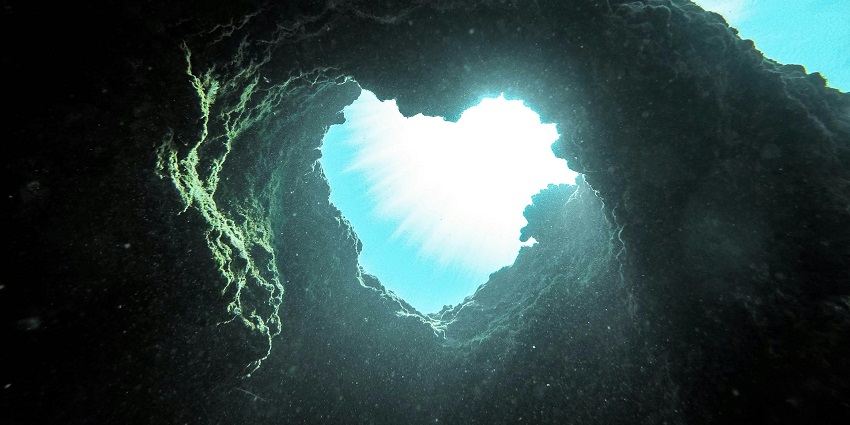 A thrilling dive site featuring a natural underwater passage and rich sea life.