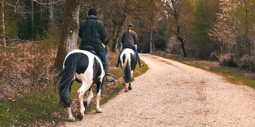 A glimpse of two people enjoying a horse ride on the verdant banks of a water body.